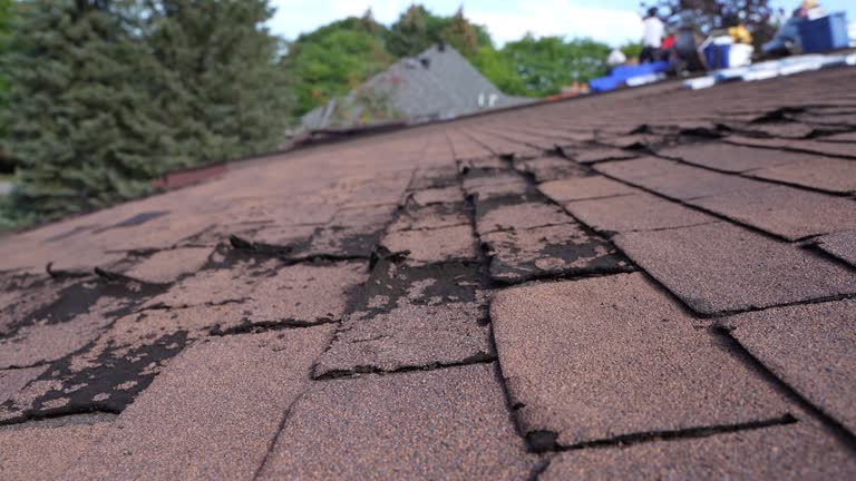Best Asphalt Shingle Roofing  in Kemp, TX