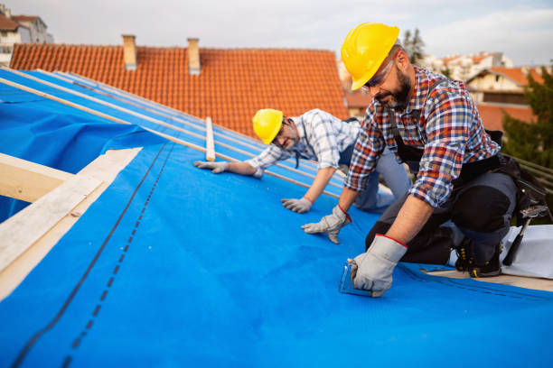 Best Commercial Roofing Services  in Kemp, TX