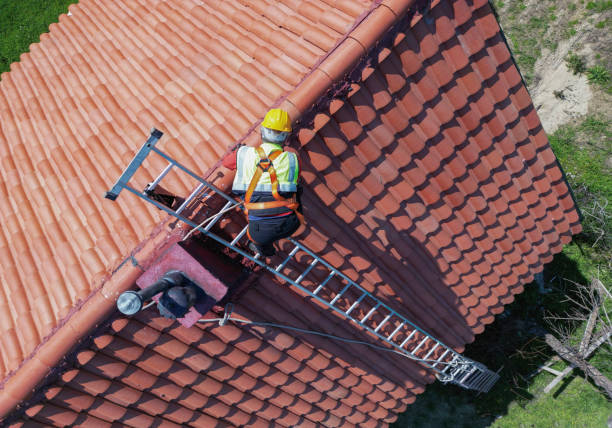 Best Cold Roofs  in Kemp, TX